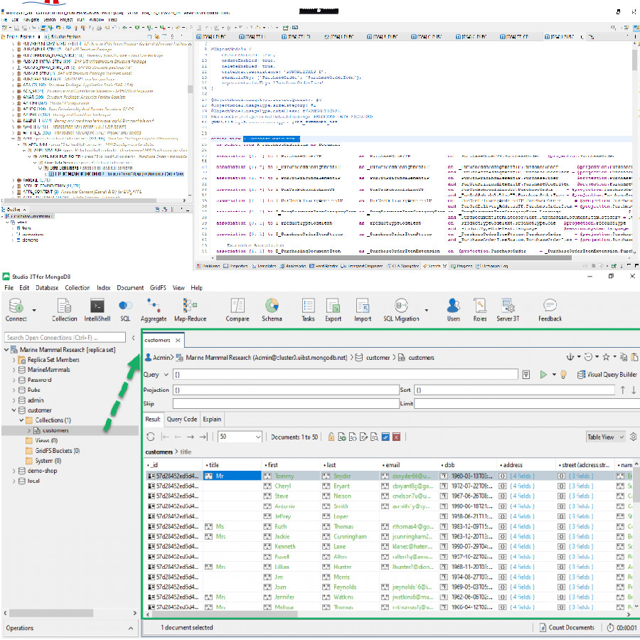 Database development
